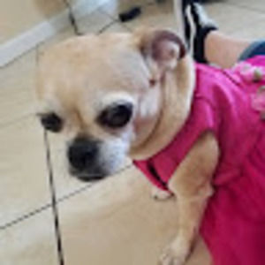 Meet your Posher, Celeste v